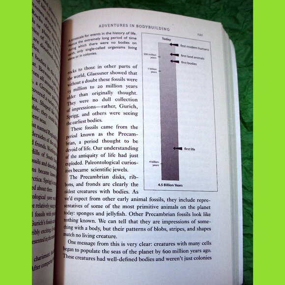 Book -  Your Inner Fish: A 3.5-Billion-Year History of the Human Body - Picture 6 of 14